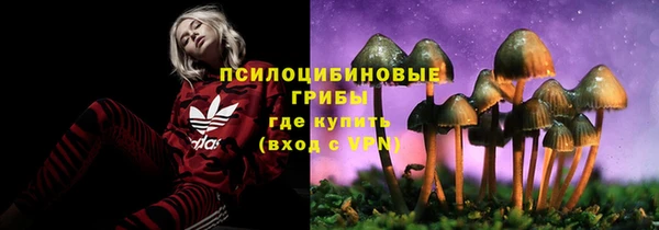 ПСИЛОЦИБИНОВЫЕ ГРИБЫ Арсеньев