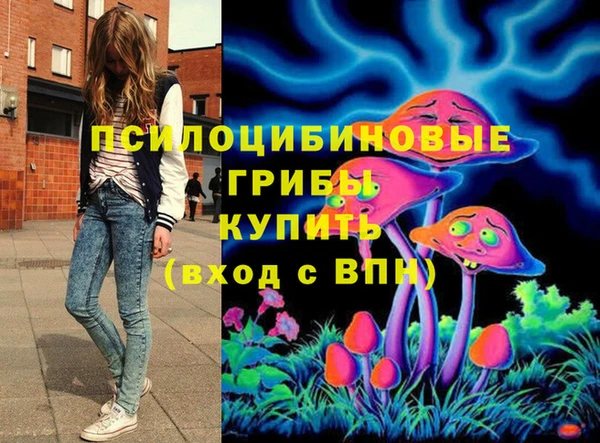 крисы Армянск