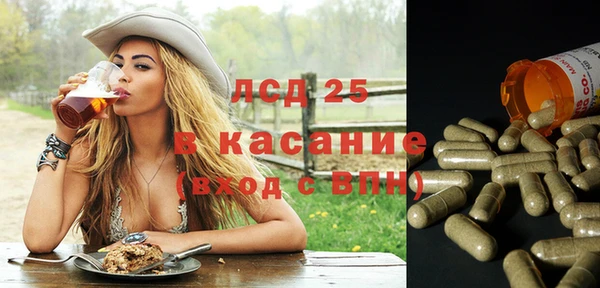 ПСИЛОЦИБИНОВЫЕ ГРИБЫ Арсеньев