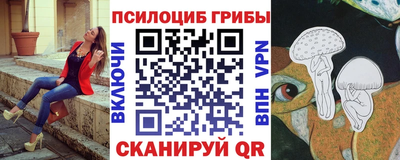 Псилоцибиновые грибы Magic Shrooms  закладка  Снежногорск 